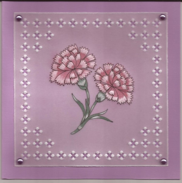 Oeillet rouge dentelle